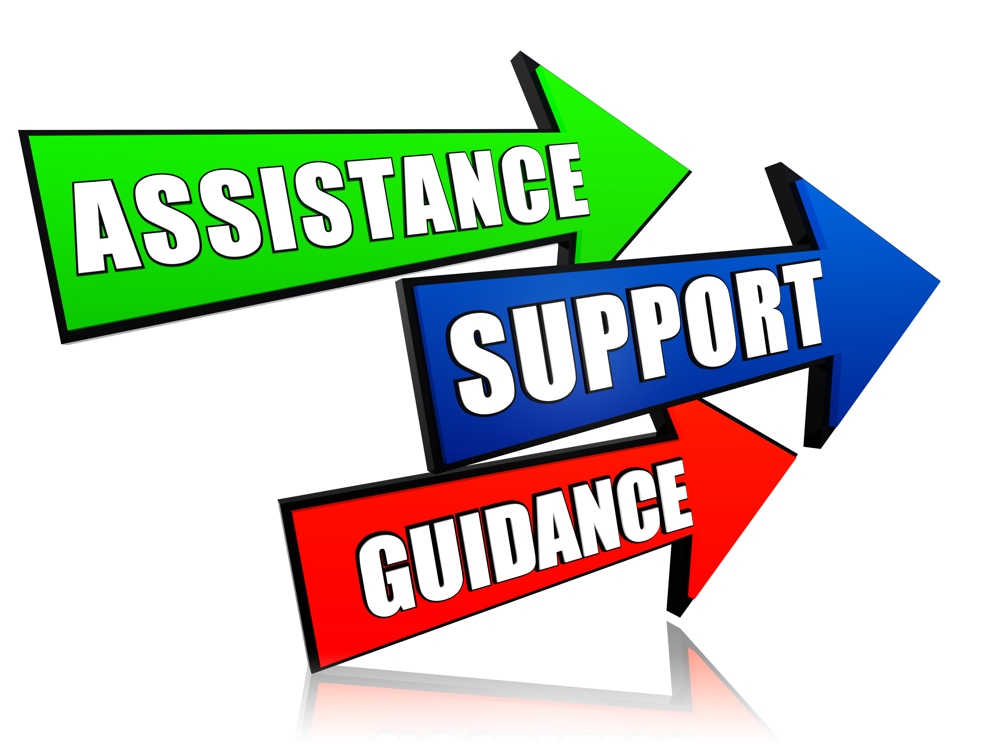 Counselor 